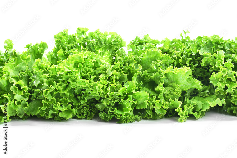 Fresh lettuce isolated on white Fresh lettuce isolated on white