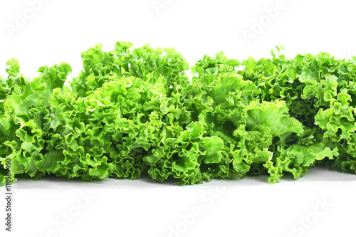 Fresh lettuce isolated on white