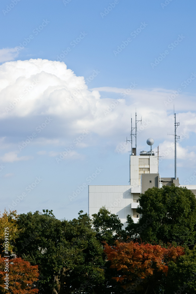 Obraz premium 積乱雲とビル