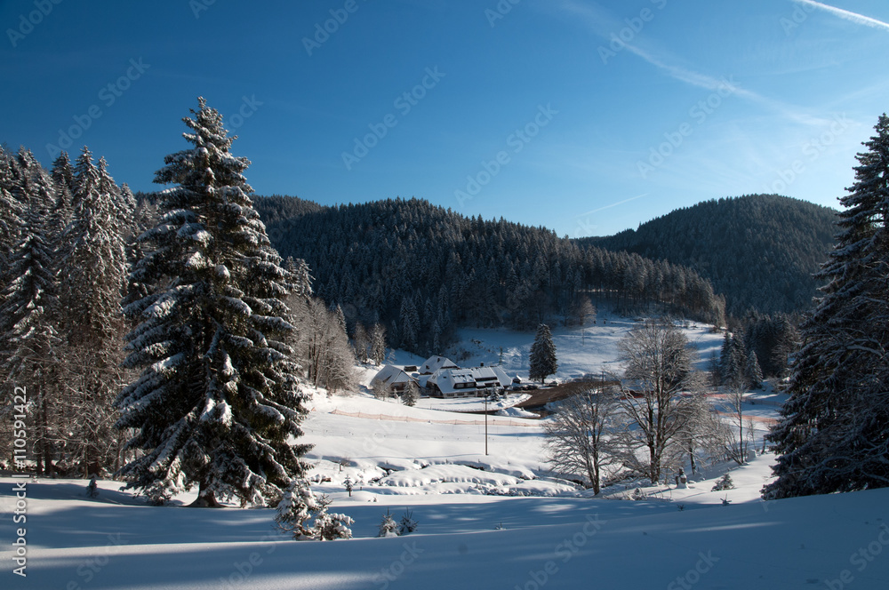 Fototapeta premium Winter bei Aitern-Muten (Schwarzwald)