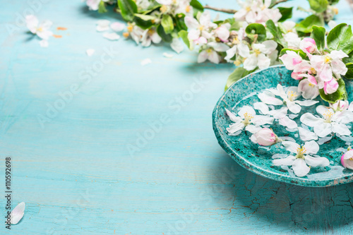 Aroma bowl with water and white blossom flowers on Turquoise blue  shabby chic wooden background. Wellness and spa concept. Spring blossom background