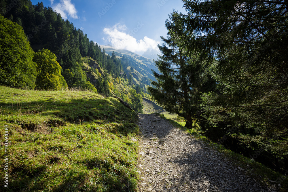 Hiking trail with Mountain View / Bavaria