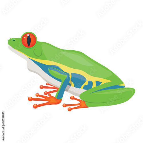 Little tree frog vector illustration isolated on white background