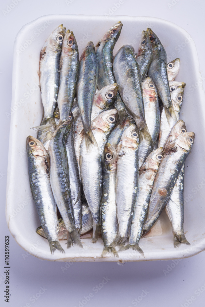 Fresh raw sardines in a white polystyrene food box isolated on w Fresh raw sardines in a white polystyrene food box isolated on w