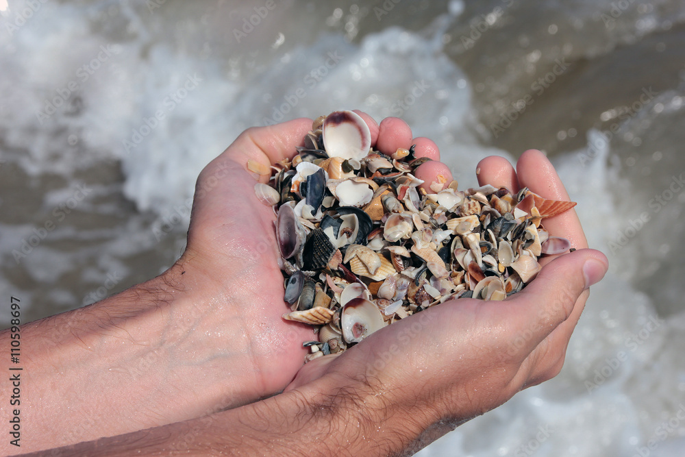 whole handful of small sea shells on the sea shore of italian ad