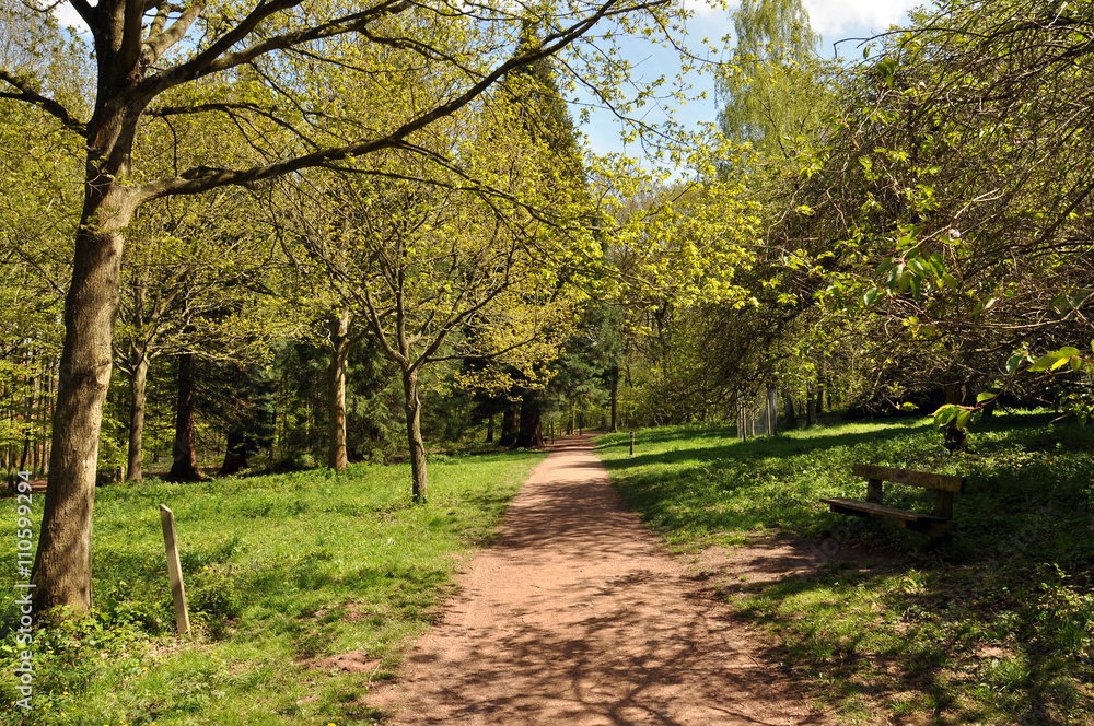 Springtime paths in the forests of Herefordshire, England.. Springtime paths in the forests of Herefordshire, England..