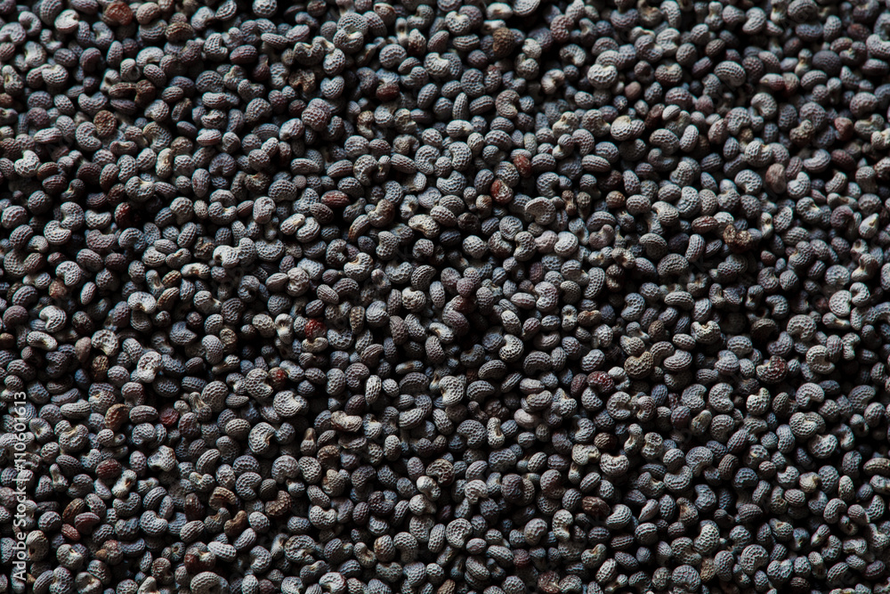 poppy seed macro poppy seed macro