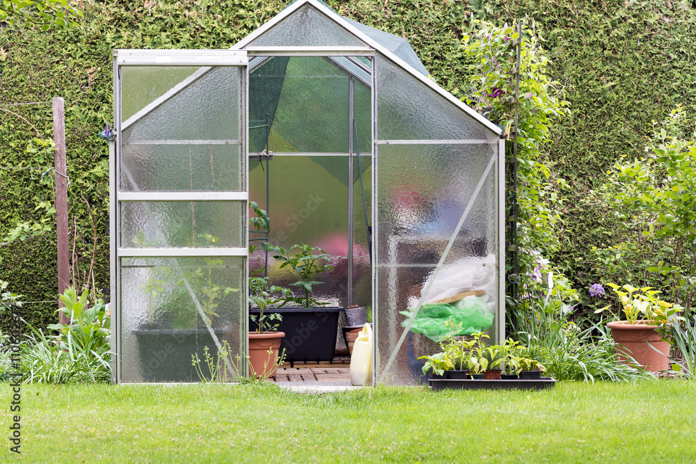 Kleines Gewächshaus im Garten, Gemüseanbau Stock Photo Adobe Stock