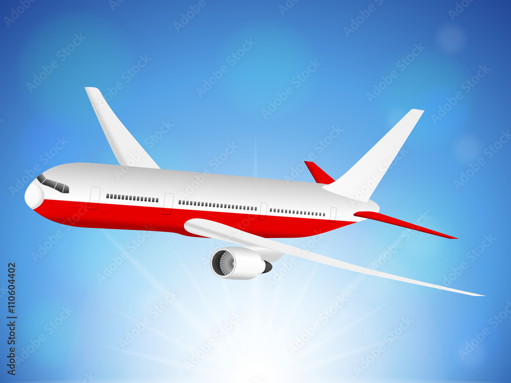 Fototapeta premium Airplane sky