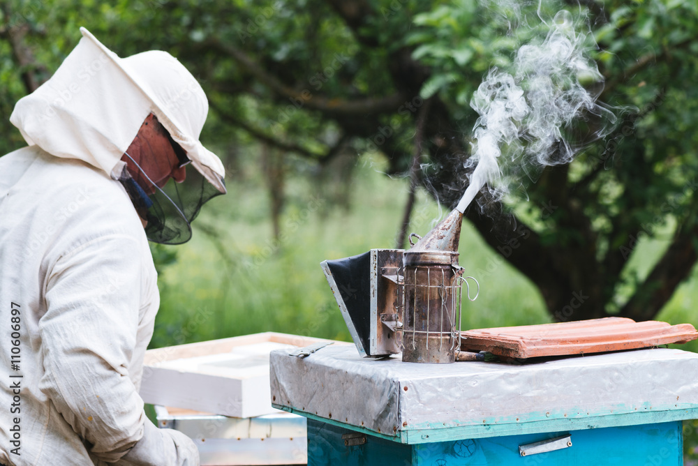 Beekeeper working with bees in beehive. Selective focus and small depth of field. Beekeeper working with bees in beehive. Selective focus and small depth of field.