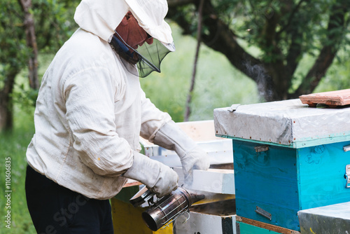 Beekeeper working with bees in beehive. Selective focus and small depth of field.