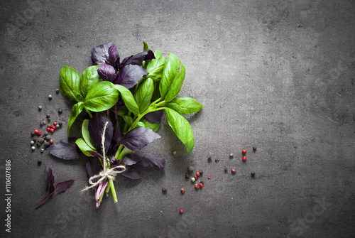 Obraz na plátně Green and purple basil.