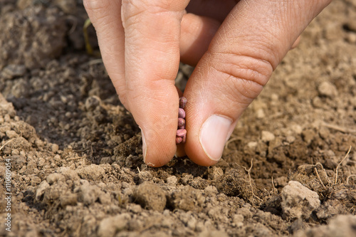 clouseup of women hand planting seeds