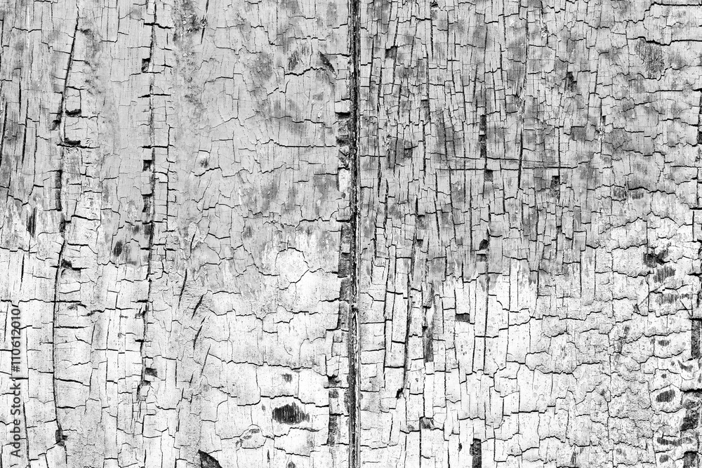 Obraz premium wood texture. background old panels