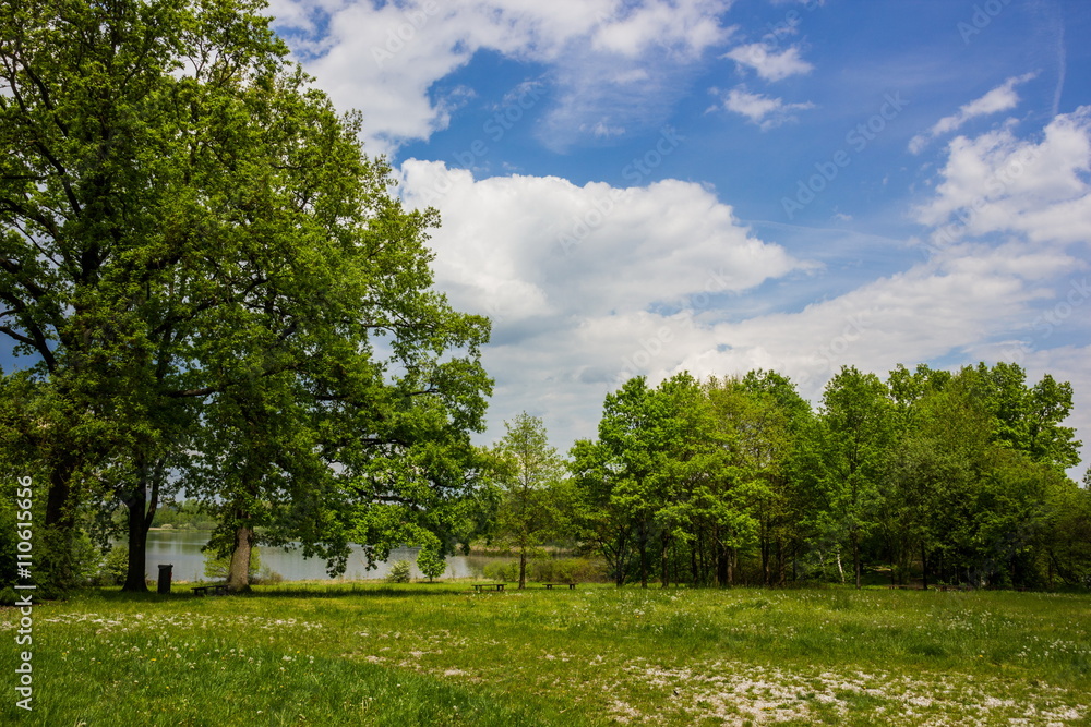 Springtime in Czech republic.