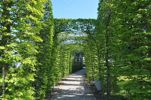 Labyrinth  Kurpark G  hren  Strandpromenade