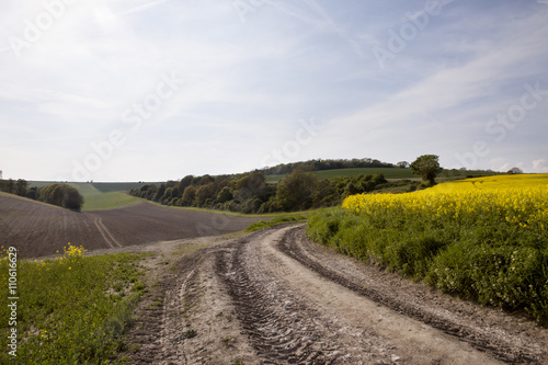 Farmlands of South England. Hills and valleys rolling into the distance, this is typical of english countryside. Green and fertile and in late spring with the added colour from canola crops.