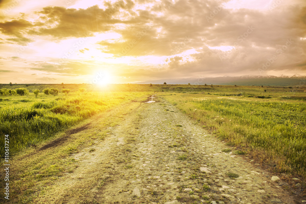 Obraz premium the grass way