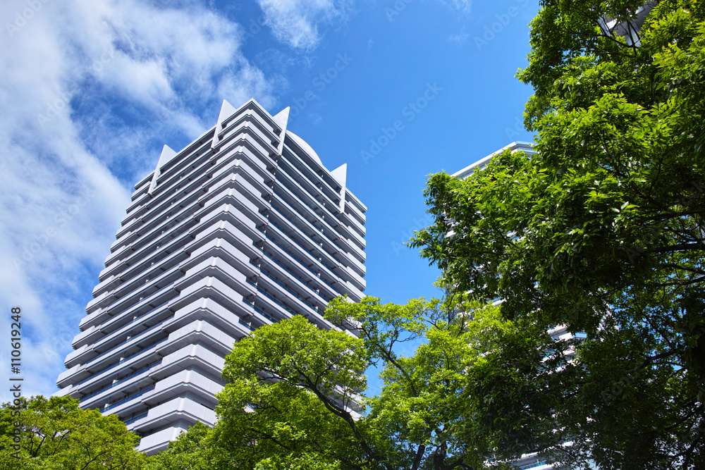 新緑と高層マンション 新緑と高層マンション