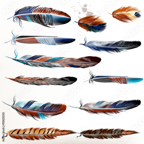 Set of vector realistic colorful feathers