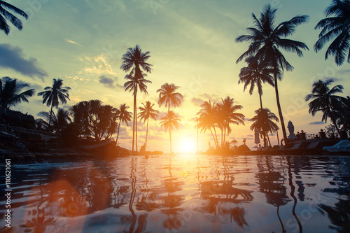 Palm trees on a tropical seaside during sunset.