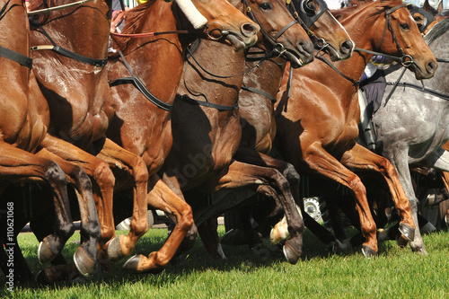 Fototapet Horse racing action jumping from the starting gates
