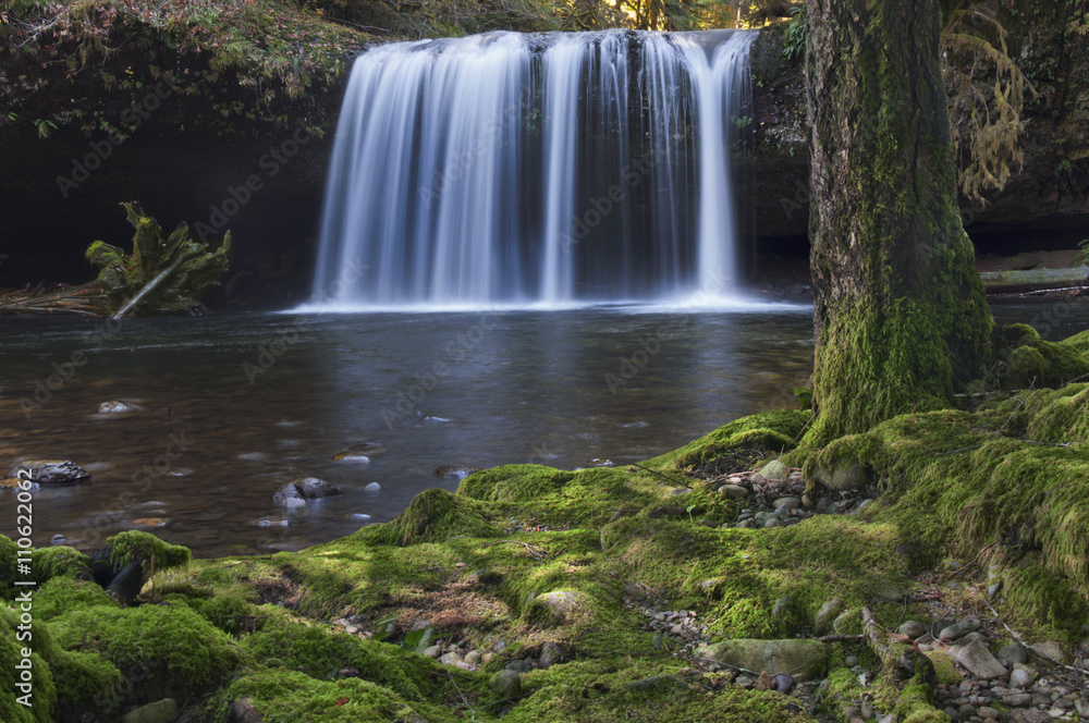 Fototapeta premium Waterfall with mossy tree and rocks in foreground/Waterfall with soft lighting in background with mossy tree and rocks at riverbank
