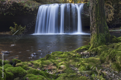 Waterfall with mossy tree and rocks in foreground Waterfall with soft lighting in background with mossy tree and rocks at riverbank