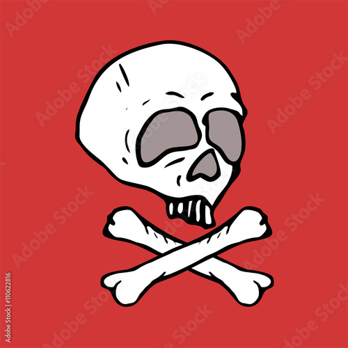 Skull illustration