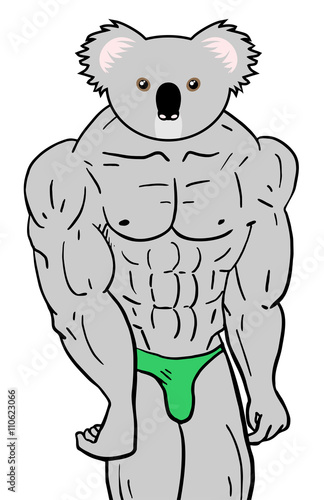 Photography strong koala