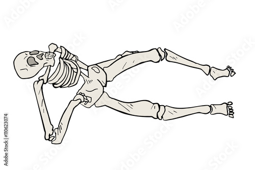 skeleton illustration