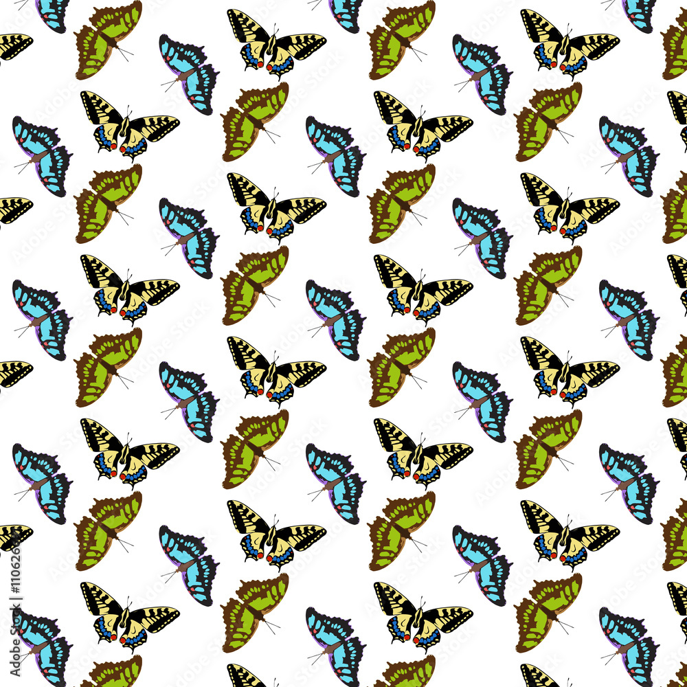 Background pattern of butterflies Background pattern of butterflies
