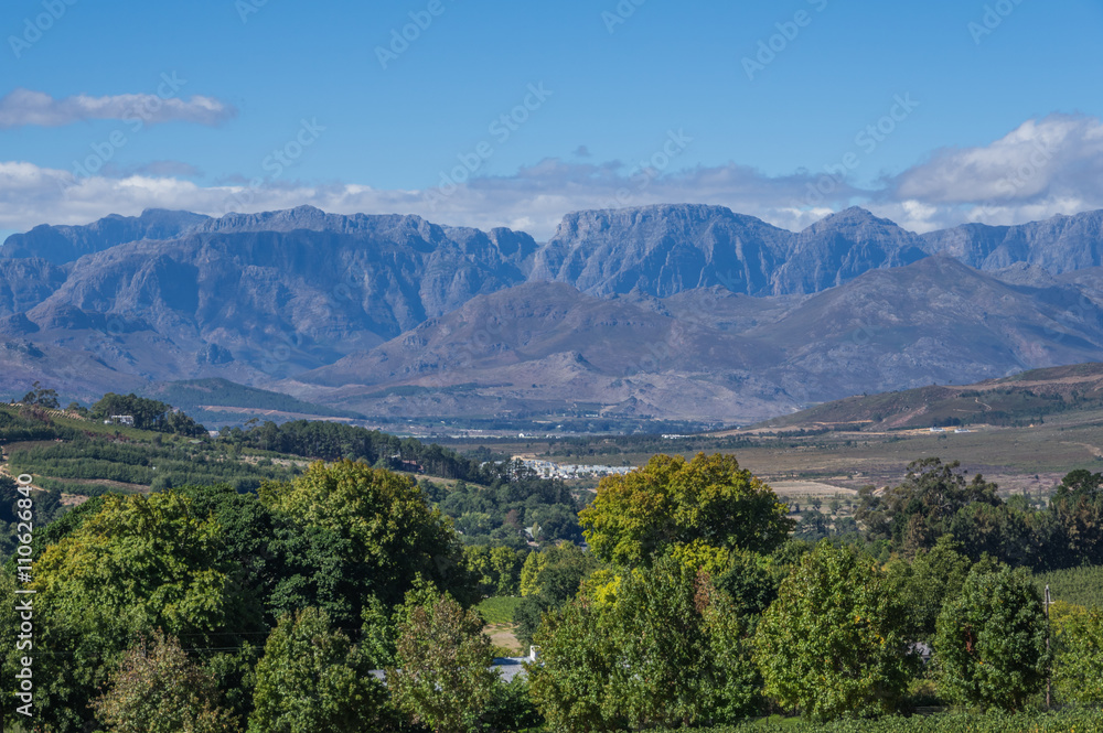 Naklejka premium The Cape Winelands region is the premier wine producing area of South Africa