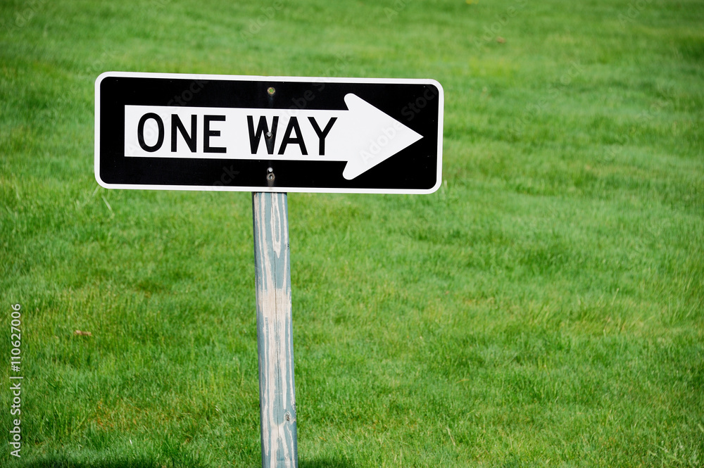 one way sign against green lawn