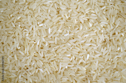 Granos de arroz