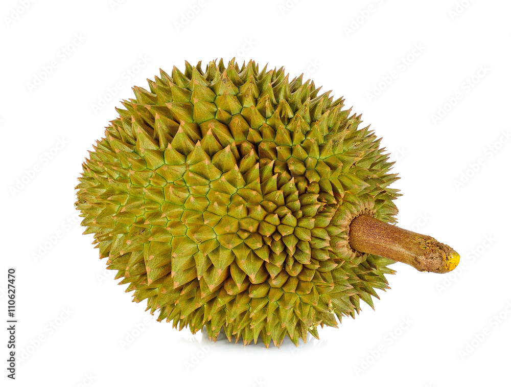 durian isolated on white background durian isolated on white background