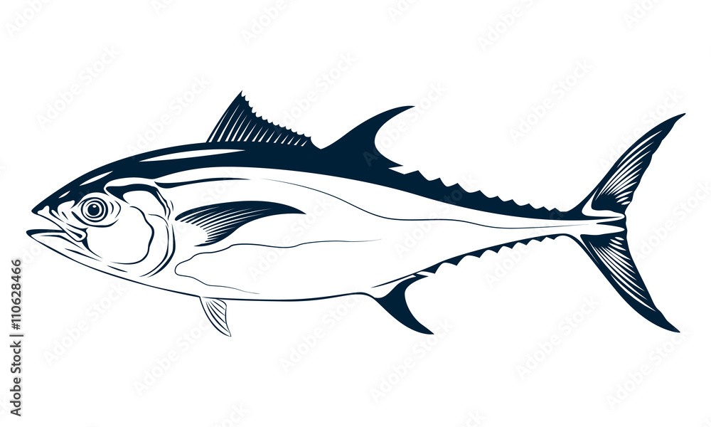 Obraz premium graphic tuna, vector