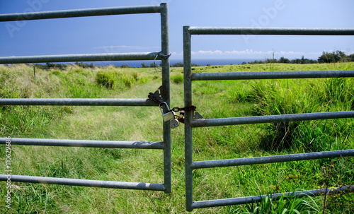 Locked Gates to a grass field along highway 270 near Keokea beac