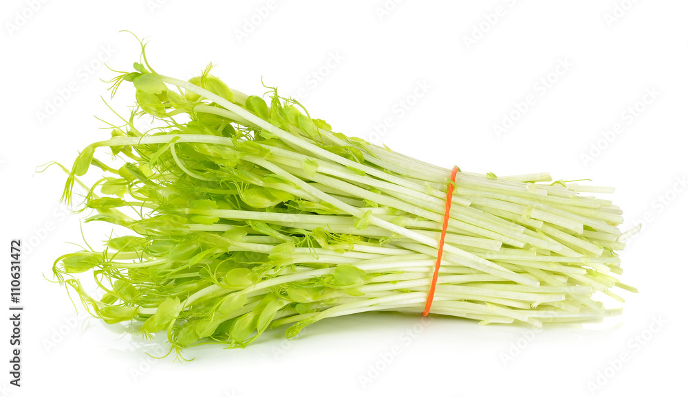 Sweet pea sprouts isolated on white background Sweet pea sprouts isolated on white background