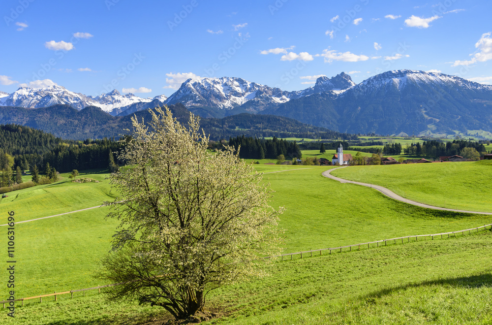 Frühling am Alpenrand im Allgäu