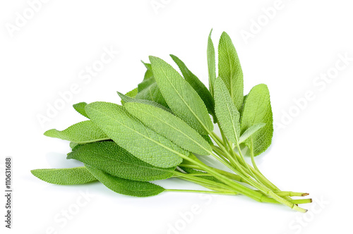 bundle of sage leaves on white background