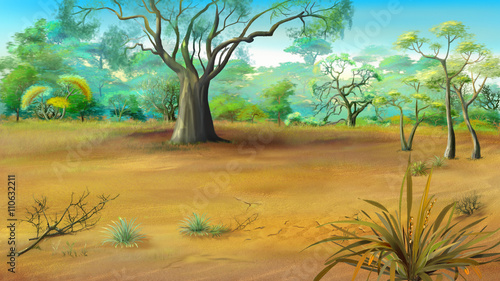 Large Solitary Tree in the Meadow