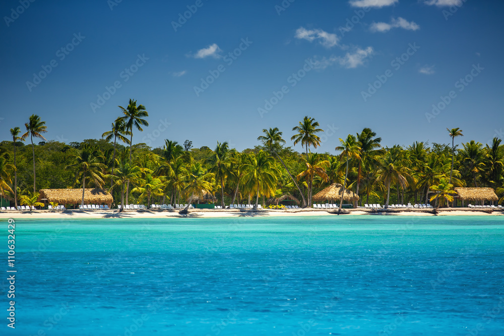 Palm trees on the tropical beach
