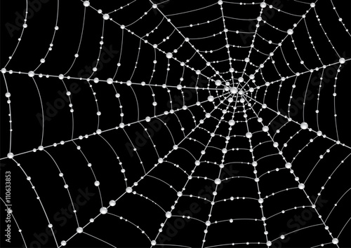 Web in drops of dew on a black background