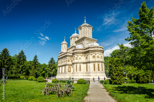 Podobny obraz