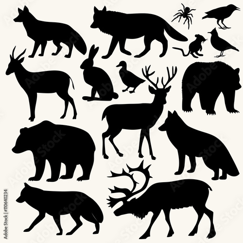 animals in the forest