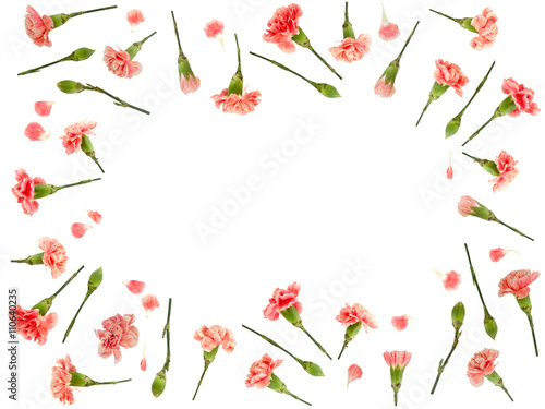 Wallpaper Mural Red carnation floral border isolated on white background  Torontodigital.ca