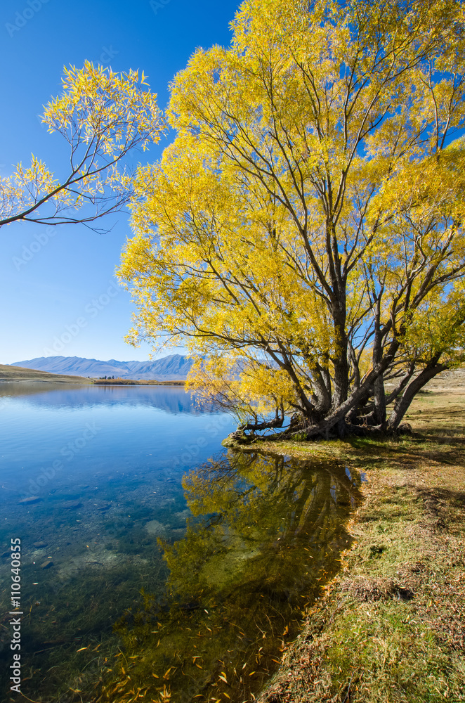 Beautiful autumn landscape in Lake McGregor,Canterbury Region, New Zealand