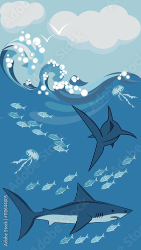 sharks and fish, underwater