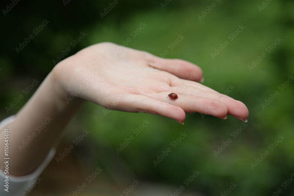 Naklejka premium Божья коровка на руке